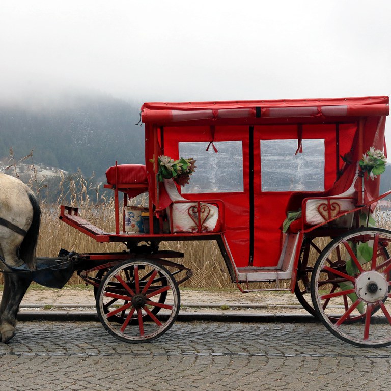 Photo by Şahin Sezer Dinçer from Pexels