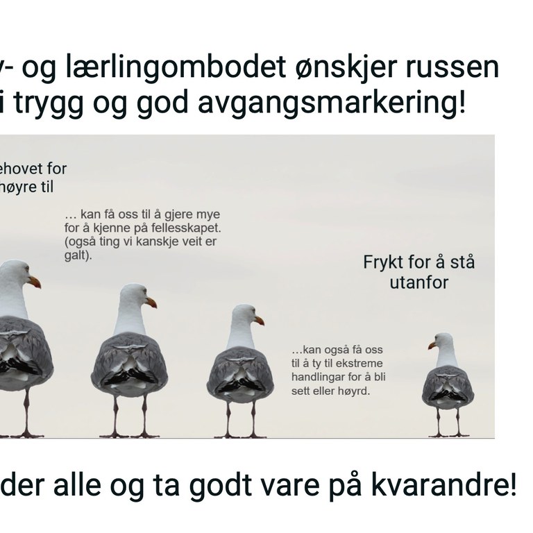 Vestruss Elev- og lærlingombod2.jpg